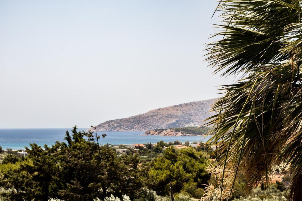 Villa Sounio Szúnio Kültér fotó